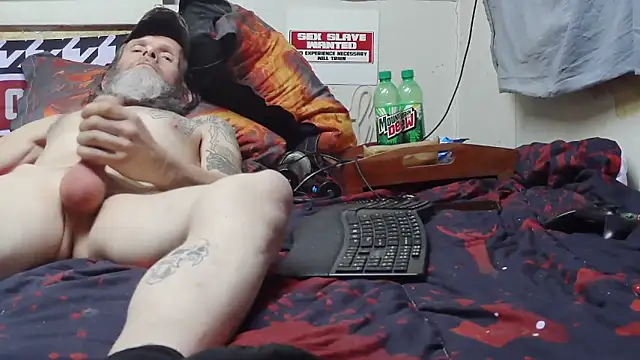 Show webcam de Spotless_Load