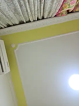 DOMINATOR_SIR-MASTERn Webbikameraesitys