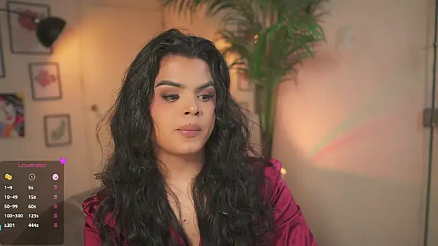 artechloe Show Webcam