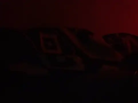 Chat +18 de GeilerHSVFAN1989 ao vivo