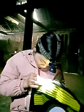 ngan-cute 现场XXX聊天