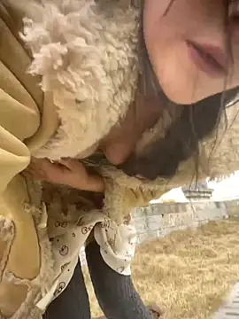 Xiao-meng66: διαδικτυακό σόου στην κάμερα