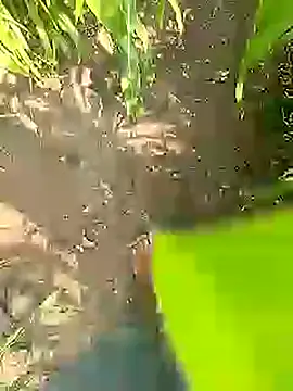 Cute_Boy_4 Adlı Modelin Web Kamerası Şovu