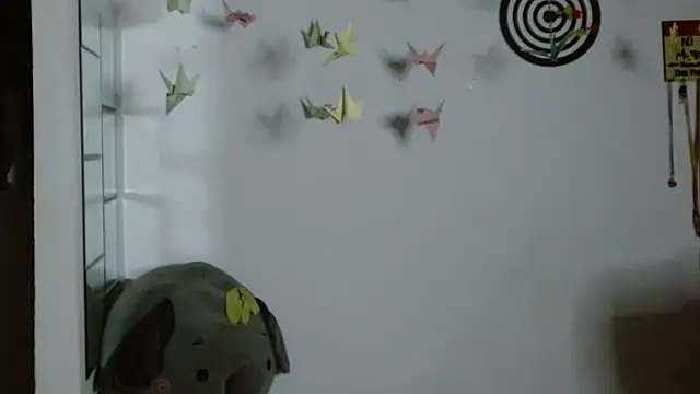 دردشة karoll8 الجنسية المباشرة