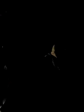 Roberts8inchcock 现场XXX聊天