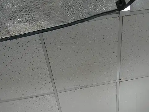 Aisha_hotts777 现场XXX聊天