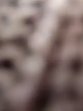 Chat XXX en directo de Hot-Sana2