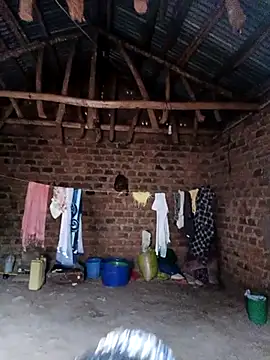 holygrail001 网络视讯表演