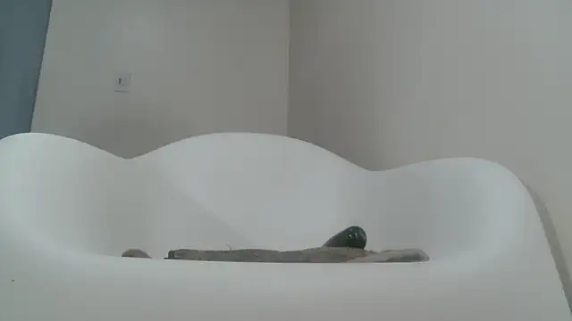 Samy_Fistt élő XXX-chatje