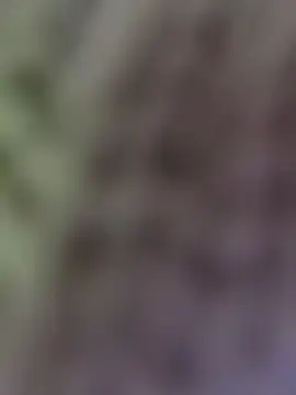 Chat XXX en directo de Hot-Sana2