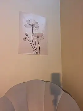 Show webcam de _Engell_