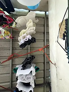 Pokazy przed kamerką – kinkynastymum74