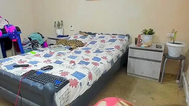 DUSSY_PUSSY élő XXX-chatje