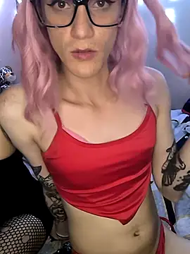 TsSophie_MsSarah: διαδικτυακό σόου στην κάμερα