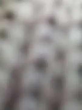 Hot-Sana2 Adlı Modelin Canlı XXX Sohbeti