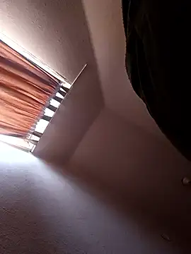 danitomii Chat XXX live