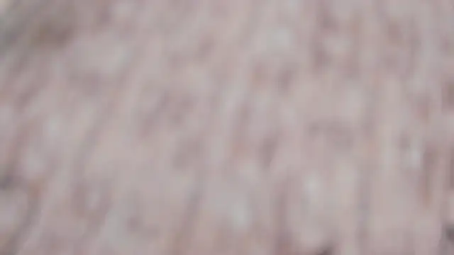 LishaSeirer লাইভ XXX চ্যাট