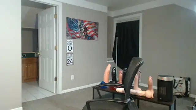 Show Webcam de Michigan9000