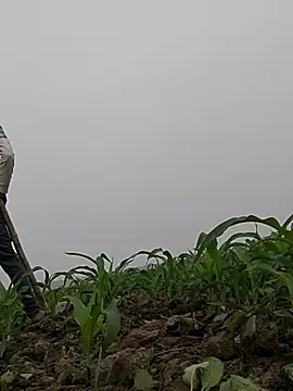 ThethunderPo 라이브 XXX 채팅