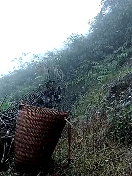 Chat XXX ao vivo de ngan-cute