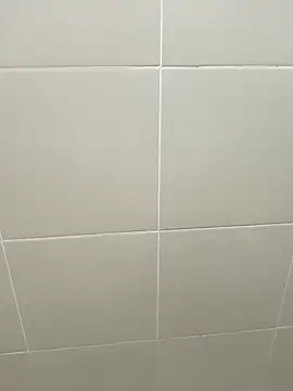 bragaa56n Webbikameraesitys