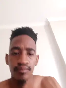 gemini_loops 现场XXX聊天