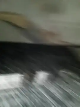 newtube0 live XXX chat