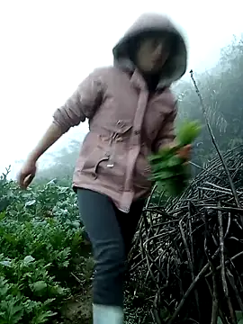 ngan-cute Live XXX-Chat