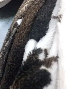 Chat XXX en directo de Laxmi_89