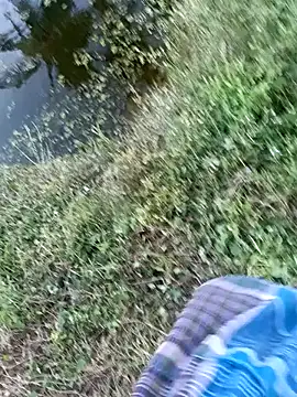 dolphiinn – Kamerová šou