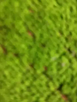 _DesigirlRoshni 现场XXX聊天