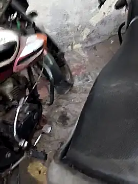 Živý XXX chat Bengal_Tiger420