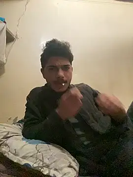 Show de webcam de A1Ai