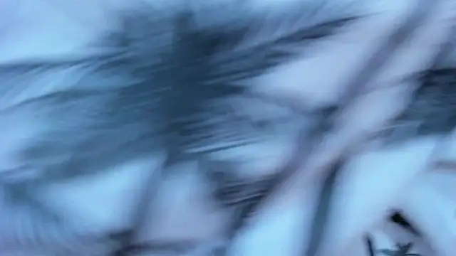 Roman_cute Live XXX-chat