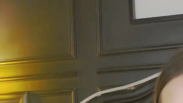 عرض كام EfiMeyer