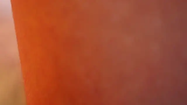 ambar_rosse25 élő XXX-chatje