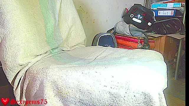 Chatroom XXX en direct de sexypenis75