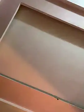 Show Webcam de Liness101