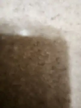 Dick4dope's Webcam Show