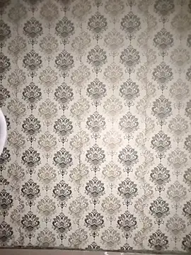 Sembang XXX Secara Langsung Punjabi_playboy