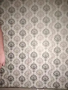 Punjabi_playboy: διαδικτυακό σόου στην κάμερα