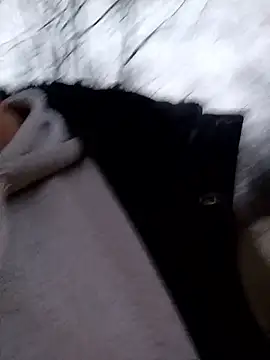 twitshe's Live XXX Chat