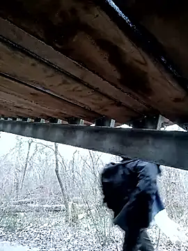 twitshe live XXX chat