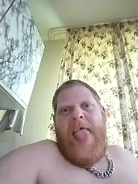 Baumhackel Webcam-Show