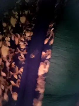 Онлайн чат XXX Queen_chayna