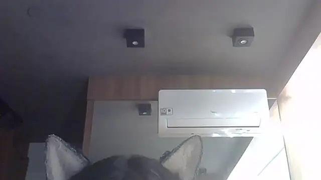 عرض كام SkinnyKitten