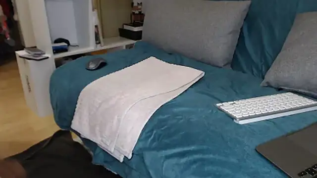 wildy1 – Kamerová šou