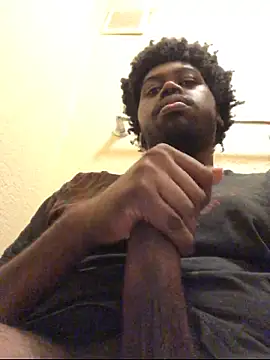 Show webcam de tericmidnight