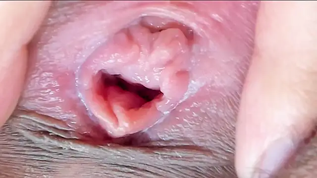 Chat +18 de ms_pickless ao vivo