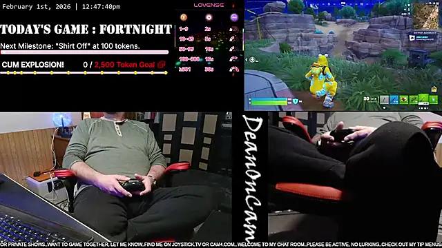 DeanonCam: вебкам-шоу